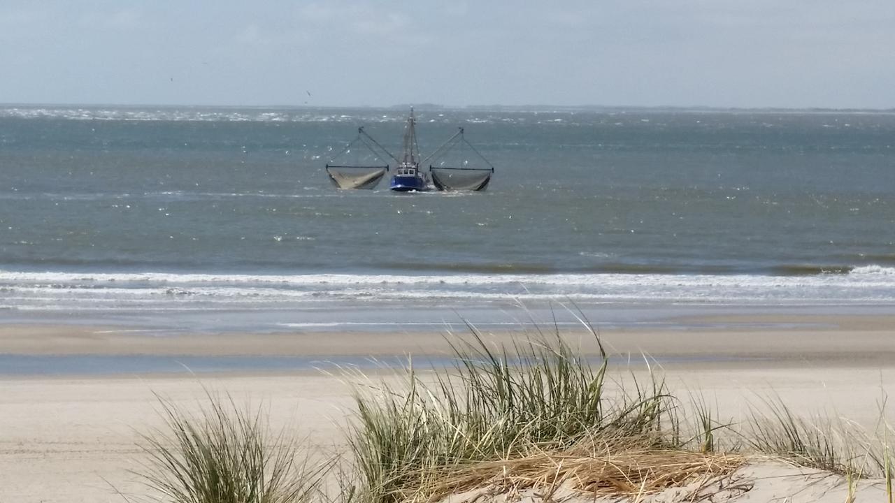 Chalet Duinzicht Ameland Villa Бурен Екстериор снимка