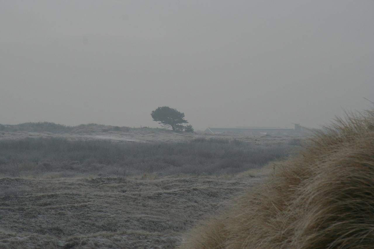 Chalet Duinzicht Ameland Villa Бурен Екстериор снимка